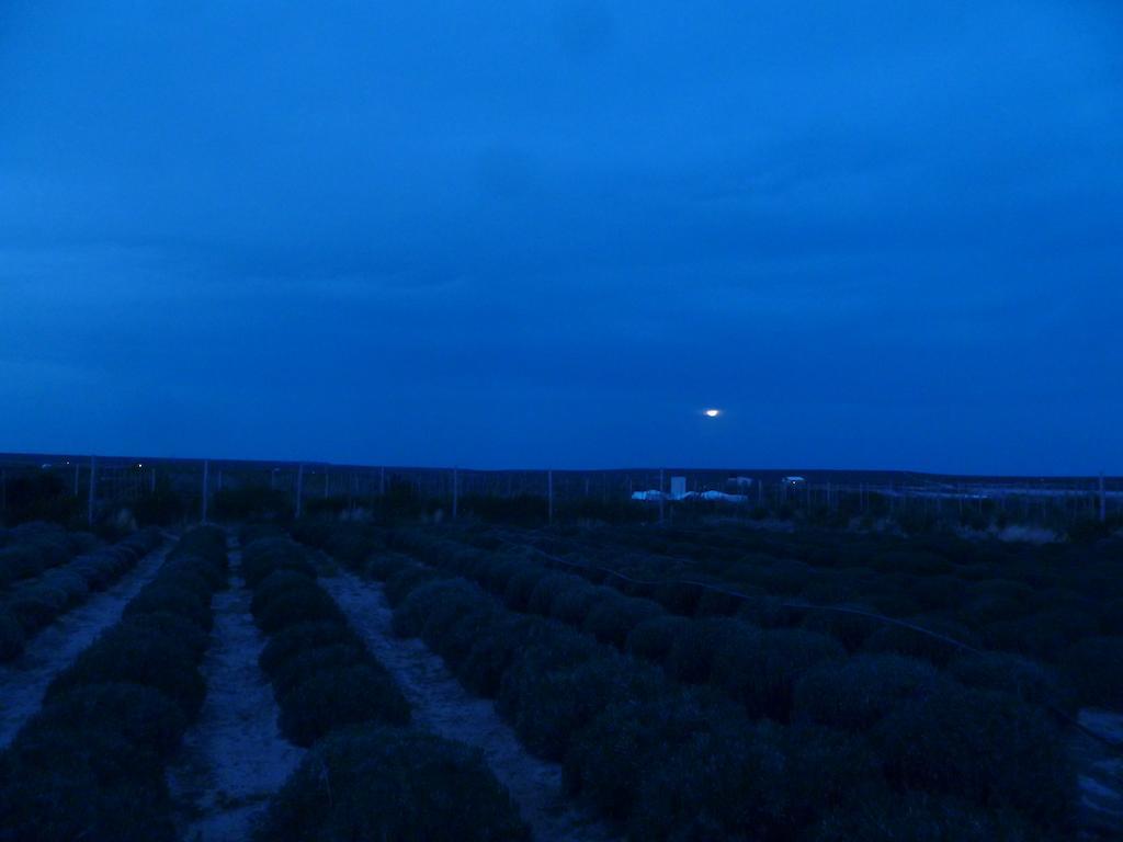 La Calandria Casa De Campo Villa Puerto Madryn Esterno foto