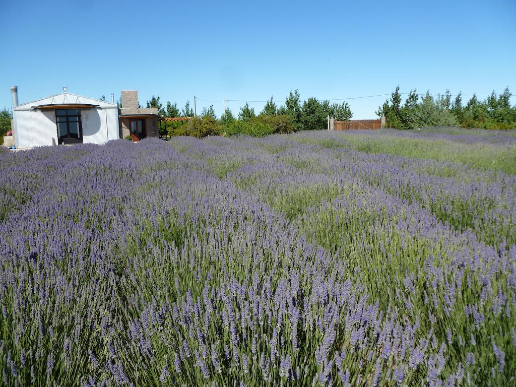 La Calandria Casa De Campo Villa Puerto Madryn Esterno foto