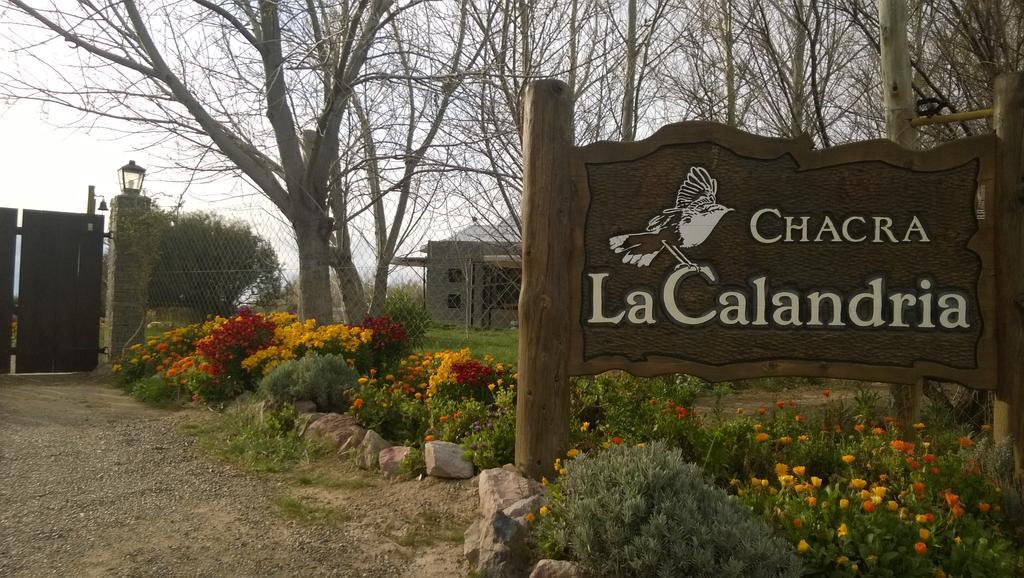 La Calandria Casa De Campo Villa Puerto Madryn Esterno foto
