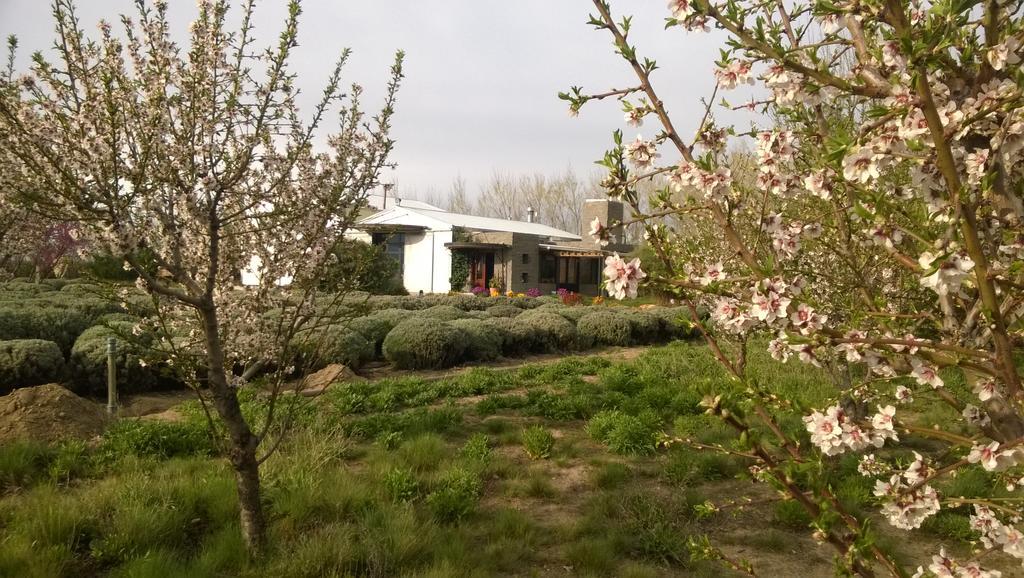 La Calandria Casa De Campo Villa Puerto Madryn Esterno foto