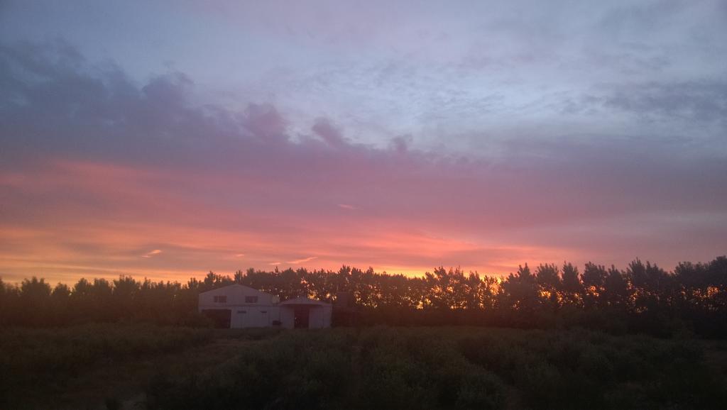 La Calandria Casa De Campo Villa Puerto Madryn Esterno foto